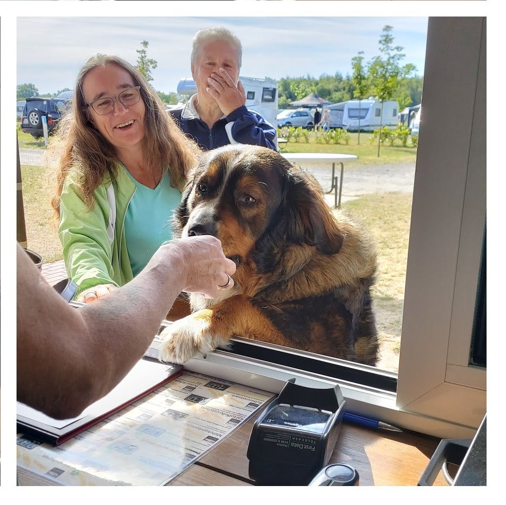 Die Hand die mich füttert